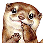 コツメカワウソ