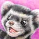 マダライタチ